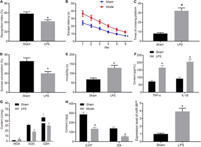 miR-96 Inhibits SV2C to Promote Depression-Like Behavior and Memory Disorders in Mice